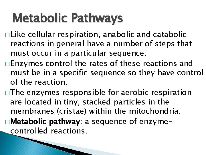Metabolic Pathways � Like cellular respiration, anabolic and catabolic reactions in general have a
