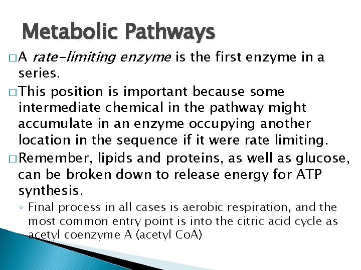 Metabolic Pathways �A rate-limiting enzyme is the first enzyme in a series. � This