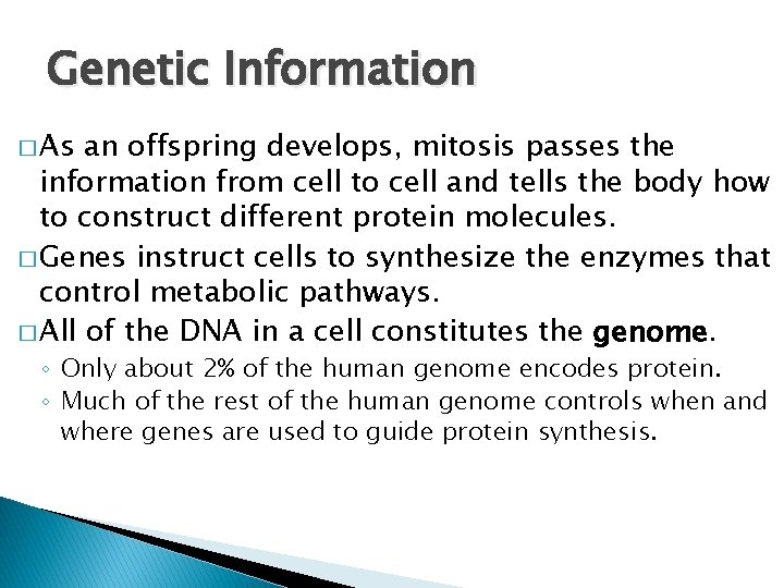 Genetic Information � As an offspring develops, mitosis passes the information from cell to