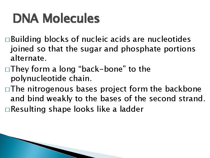 DNA Molecules � Building blocks of nucleic acids are nucleotides joined so that the