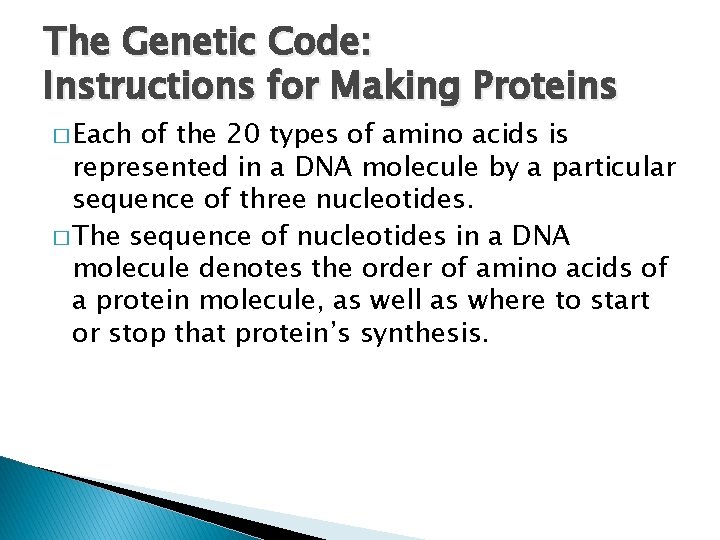 The Genetic Code: Instructions for Making Proteins � Each of the 20 types of
