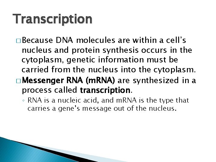 Transcription � Because DNA molecules are within a cell’s nucleus and protein synthesis occurs