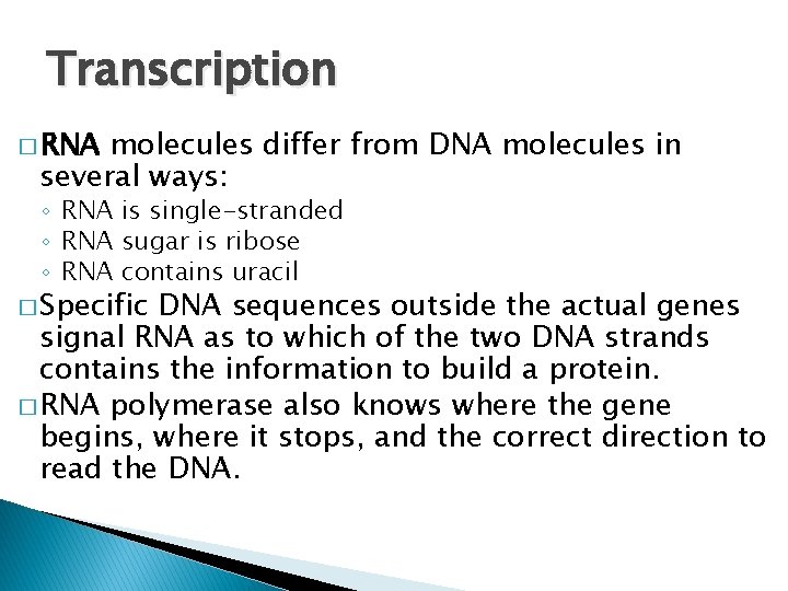 Transcription � RNA molecules differ from DNA molecules in several ways: ◦ RNA is