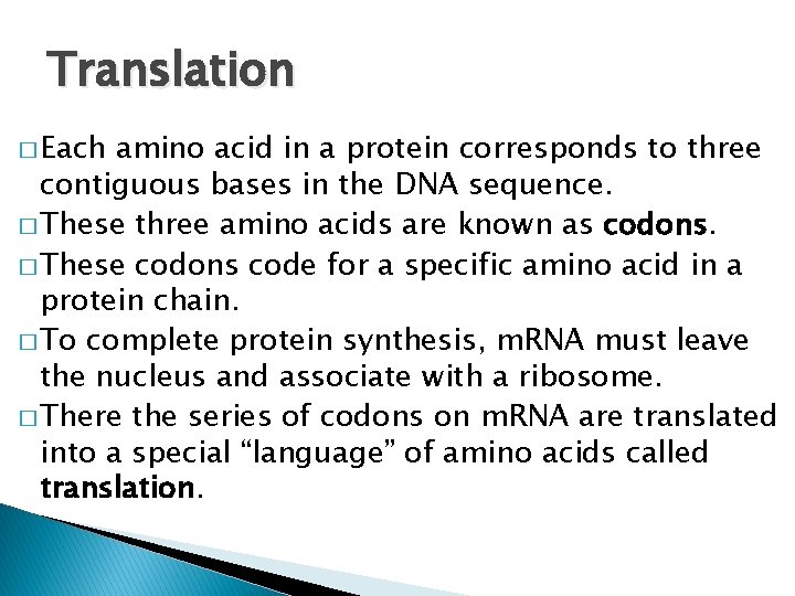 Translation � Each amino acid in a protein corresponds to three contiguous bases in