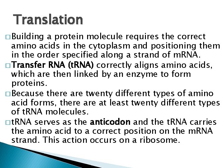 Translation � Building a protein molecule requires the correct amino acids in the cytoplasm