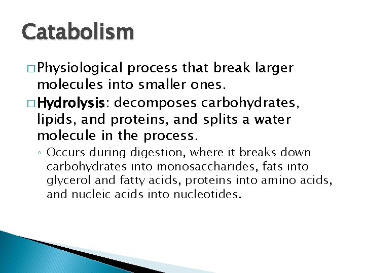 Catabolism � Physiological process that break larger molecules into smaller ones. � Hydrolysis: decomposes