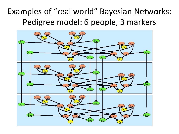 Examples of “real world” Bayesian Networks: Pedigree model: 6 people, 3 markers L 11