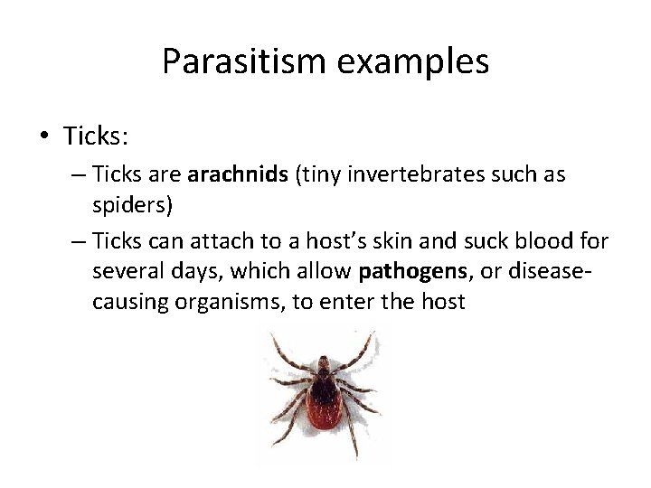 Parasitism examples • Ticks: – Ticks are arachnids (tiny invertebrates such as spiders) – Parasitism examples • Ticks: – Ticks are arachnids (tiny invertebrates such as spiders) –
