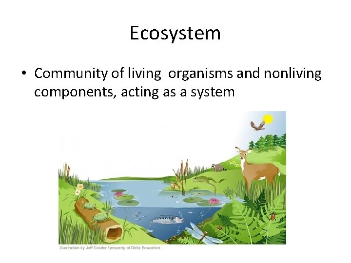 Ecosystem • Community of living organisms and nonliving components, acting as a system Ecosystem • Community of living organisms and nonliving components, acting as a system