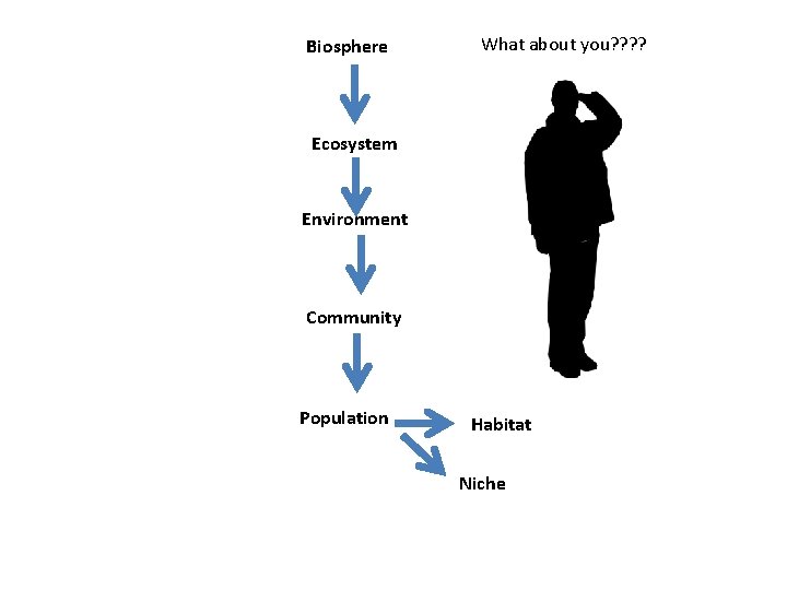 Biosphere What about you? ? Ecosystem Environment Community Population Habitat Niche Biosphere What about you? ? Ecosystem Environment Community Population Habitat Niche
