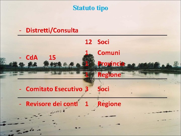 Statuto tipo - Distretti/Consulta 12 Soci - Cd. A 15 1 Comuni 1 Provincia