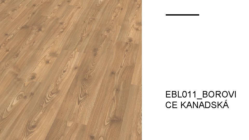 EBL 011_BOROVI CE KANADSKÁ 