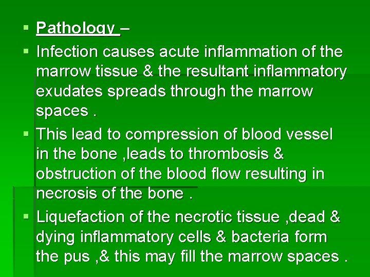§ Pathology – § Infection causes acute inflammation of the marrow tissue & the