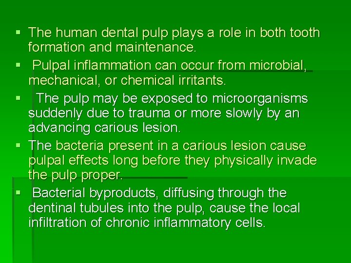 § The human dental pulp plays a role in both tooth formation and maintenance.