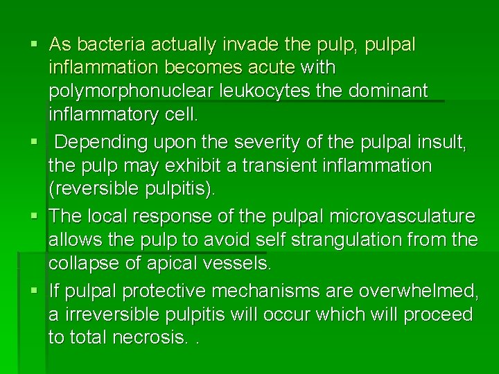 § As bacteria actually invade the pulp, pulpal inflammation becomes acute with polymorphonuclear leukocytes