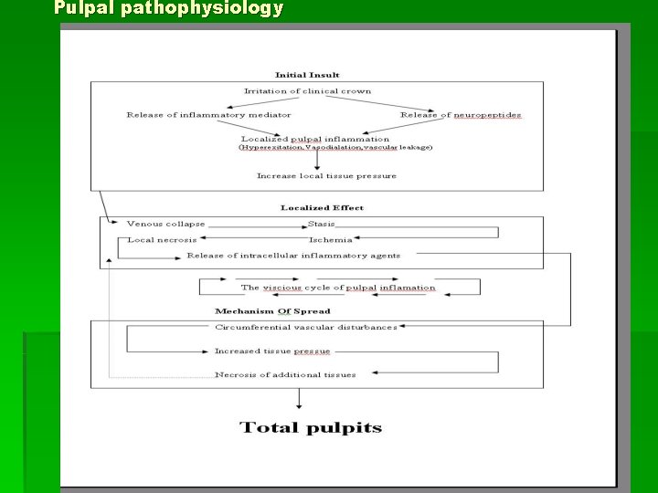 Pulpal pathophysiology 