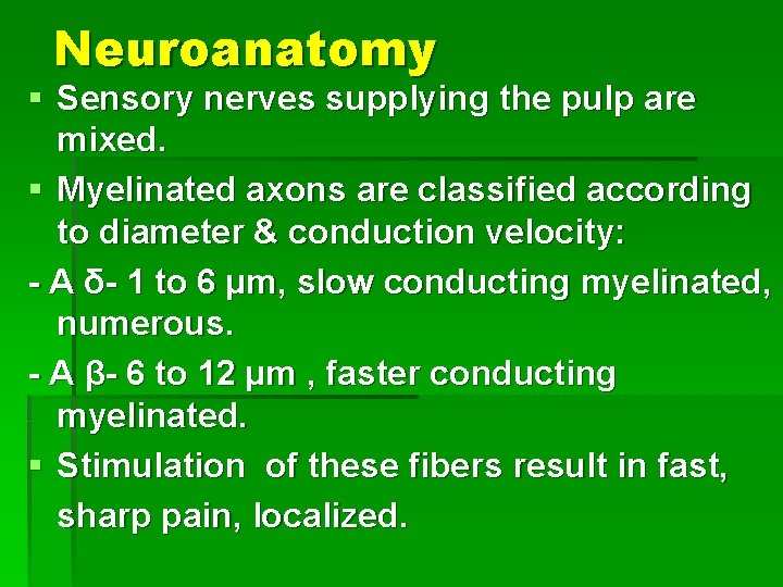 Neuroanatomy § Sensory nerves supplying the pulp are mixed. § Myelinated axons are classified