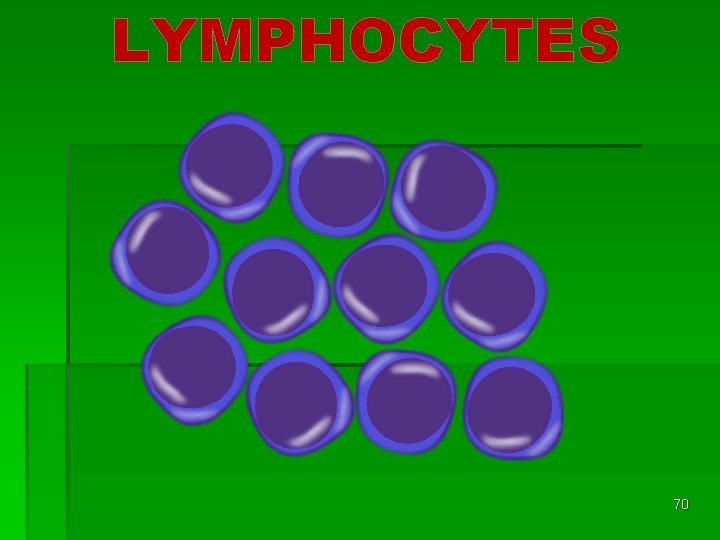 LYMPHOCYTES 70 