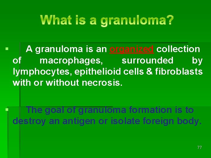 § A granuloma is an organized collection of macrophages, surrounded by lymphocytes, epithelioid cells