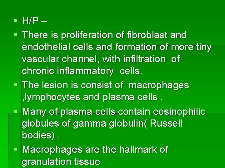 § H/P – § There is proliferation of fibroblast and endothelial cells and formation