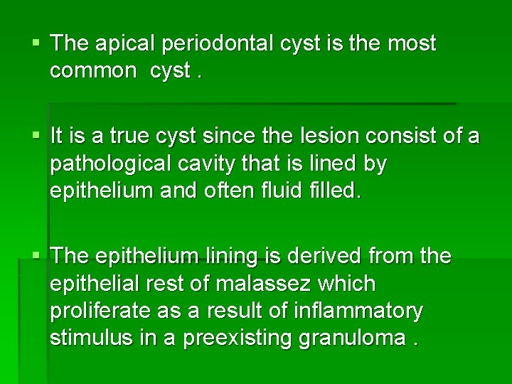 § The apical periodontal cyst is the most common cyst. § It is a