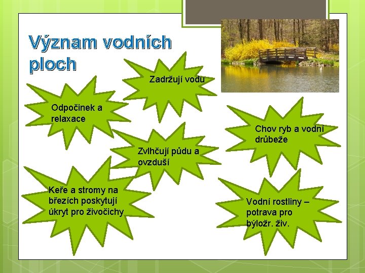 Význam vodních ploch Zadržují vodu Odpočinek a relaxace Chov ryb a vodní drůbeže Zvlhčují