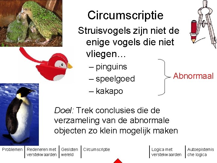 Circumscriptie Struisvogels zijn niet de enige vogels die niet vliegen… – pinguins – speelgoed