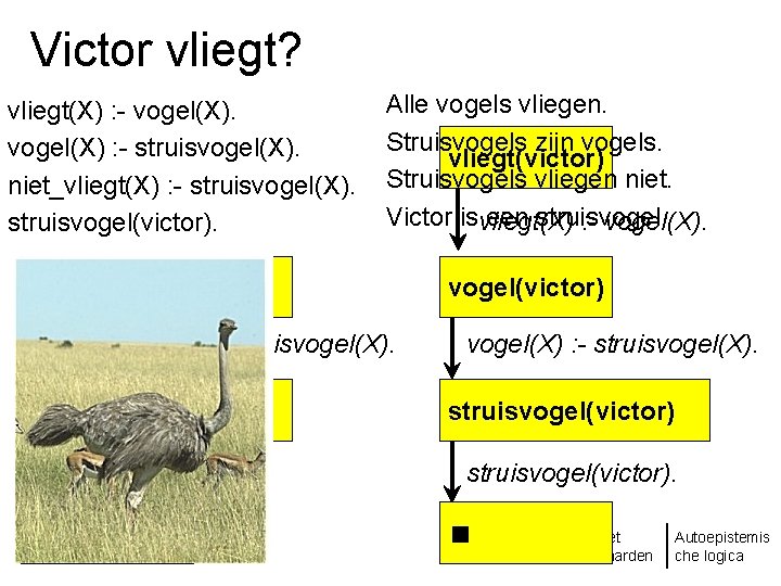 Victor vliegt? vliegt(X) : - vogel(X) : - struisvogel(X). niet_vliegt(X) : - struisvogel(X). struisvogel(victor).