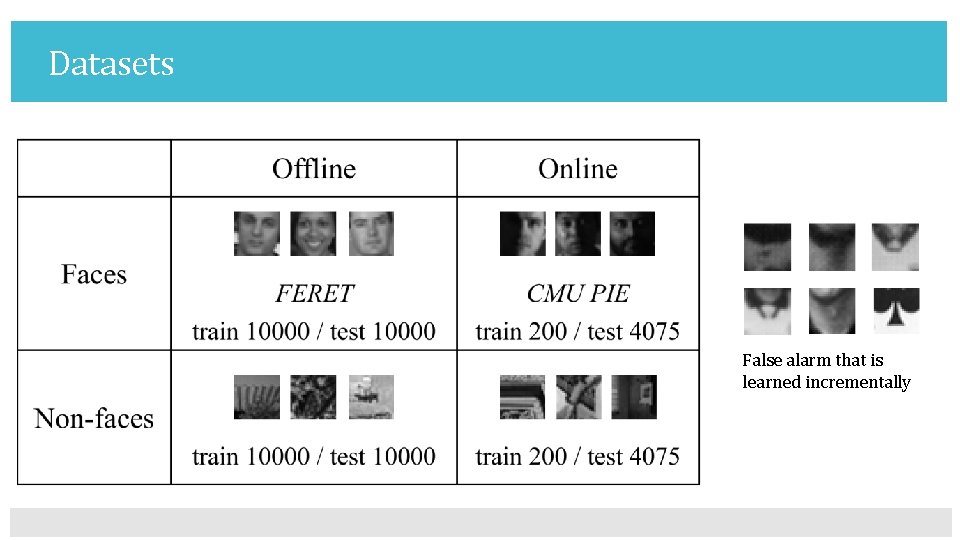 Datasets False alarm that is learned incrementally 