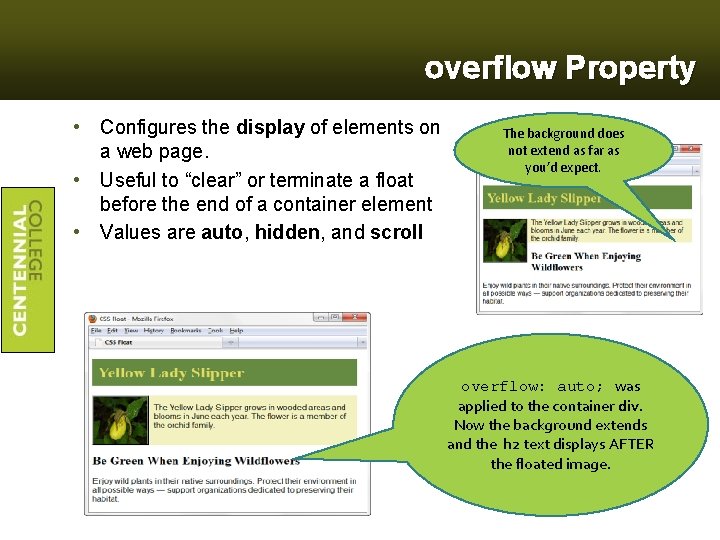overflow Property • Configures the display of elements on a web page. • Useful
