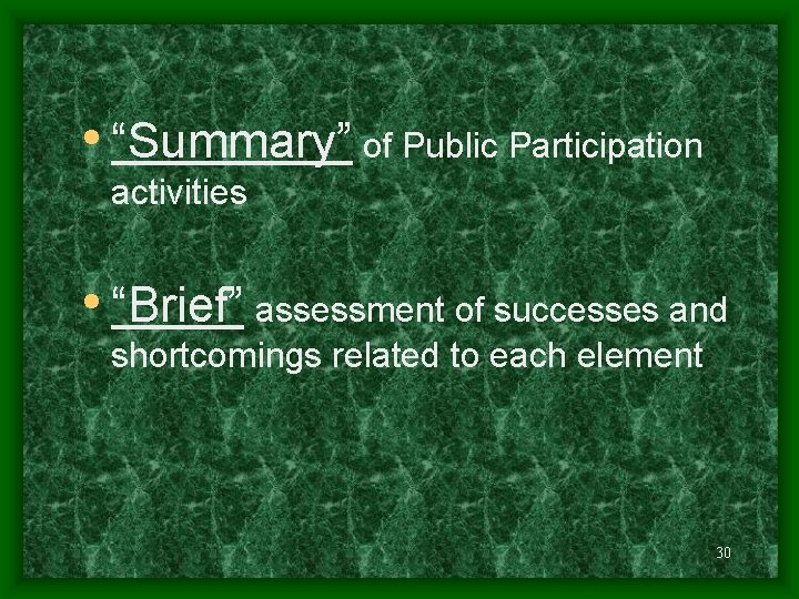  • “Summary” of Public Participation activities • “Brief” assessment of successes and shortcomings