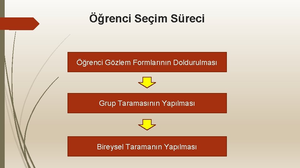 Öğrenci Seçim Süreci Öğrenci Gözlem Formlarının Doldurulması Grup Taramasının Yapılması Bireysel Taramanın Yapılması 