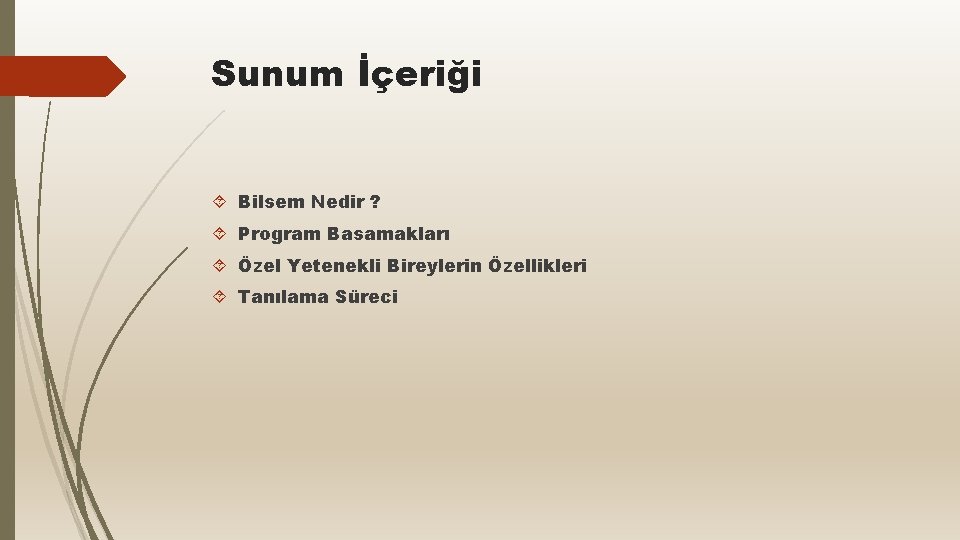 Sunum İçeriği Bilsem Nedir ? Program Basamakları Özel Yetenekli Bireylerin Özellikleri Tanılama Süreci 