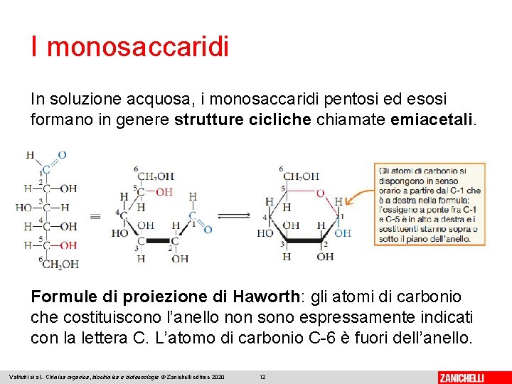 I monosaccaridi In soluzione acquosa, i monosaccaridi pentosi ed esosi formano in genere strutture