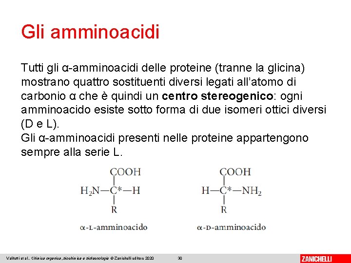 Gli amminoacidi Tutti gli α-amminoacidi delle proteine (tranne la glicina) mostrano quattro sostituenti diversi