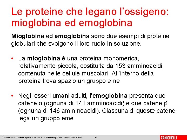 Le proteine che legano l’ossigeno: mioglobina ed emoglobina Mioglobina ed emoglobina sono due esempi