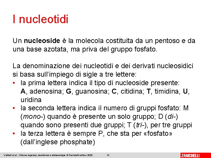 I nucleotidi Un nucleoside è la molecola costituita da un pentoso e da una