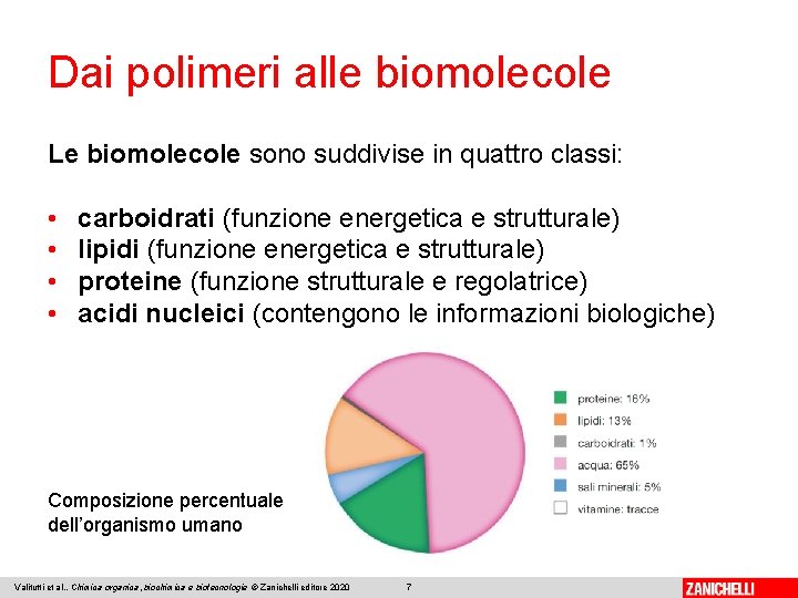 Dai polimeri alle biomolecole Le biomolecole sono suddivise in quattro classi: • • carboidrati