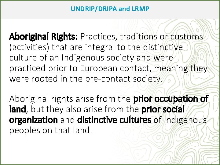 UNDRIP/DRIPA and LRMP Aboriginal Rights: Practices, traditions or customs (activities) that are integral to