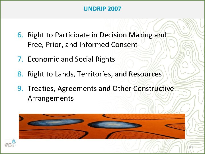 UNDRIP 2007 6. Right to Participate in Decision Making and Free, Prior, and Informed