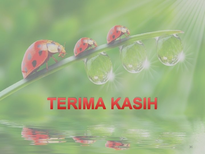 TERIMA KASIH 36 