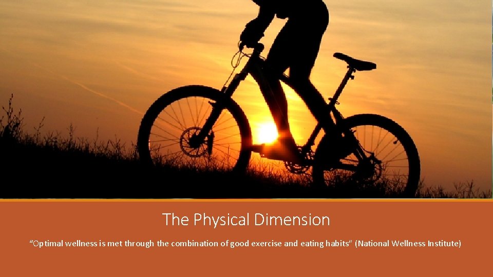 The Physical Dimension “Optimal wellness is met through the combination of good exercise and