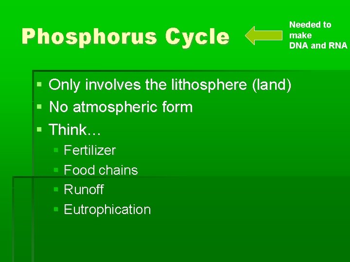 Phosphorus Cycle Needed to make DNA and RNA Only involves the lithosphere (land) No