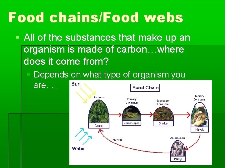 Food chains/Food webs All of the substances that make up an organism is made