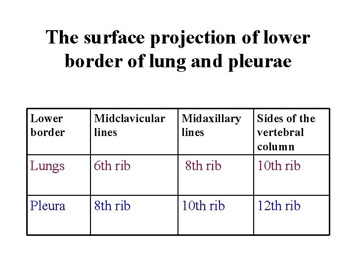 The surface projection of lower border of lung and pleurae Lower border Midclavicular lines