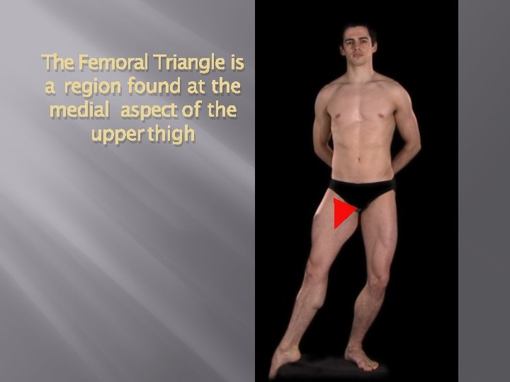 The Femoral Triangle is a region found at the medial aspect of the upper