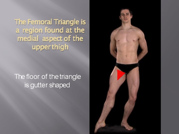 The Femoral Triangle is a region found at the medial aspect of the upper