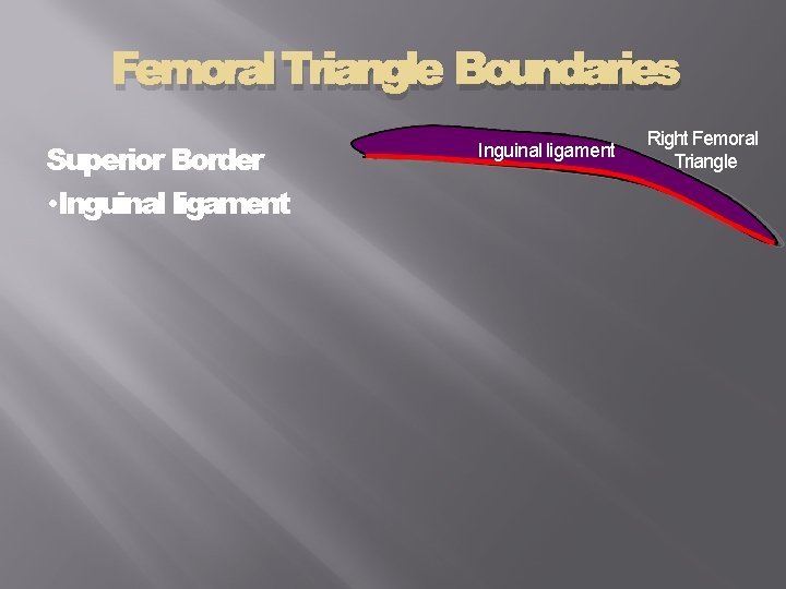 Femoral Triangle Boundaries Superior Border • Inguinal ligament Right Femoral Triangle 