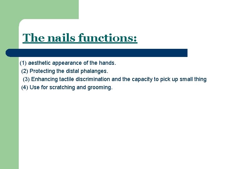 The nails functions: (1) aesthetic appearance of the hands. (2) Protecting the distal phalanges.