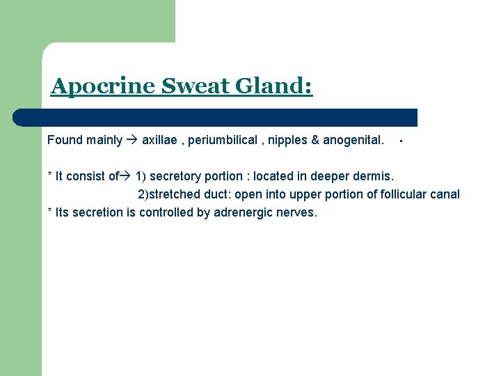 Apocrine Sweat Gland: Found mainly axillae , periumbilical , nipples & anogenital. • *